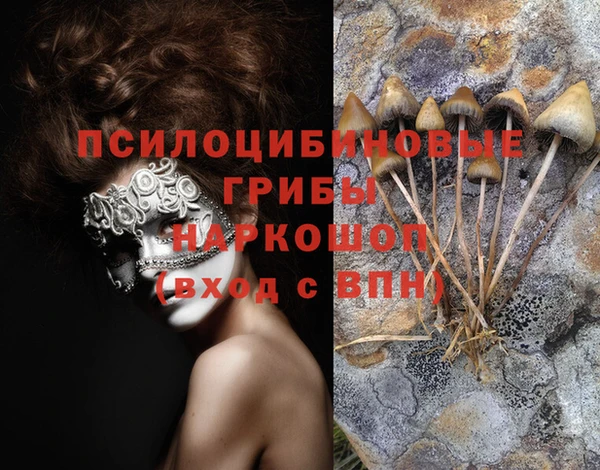 МДПВ Ладушкин