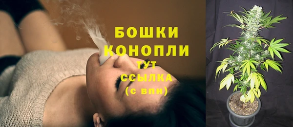 ПСИЛОЦИБИНОВЫЕ ГРИБЫ Дегтярск
