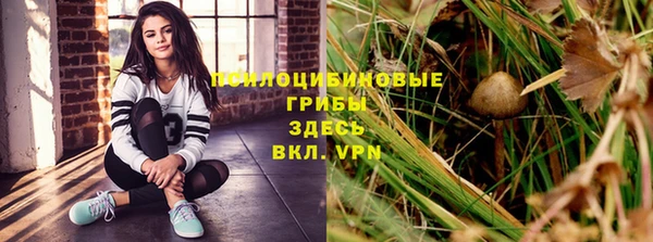 дурь Лагань