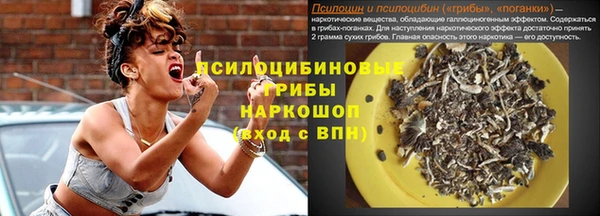 МДПВ Ладушкин